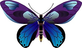 印花矢量圖 動物 蝴蝶 色彩 五彩斑斕 免費素材