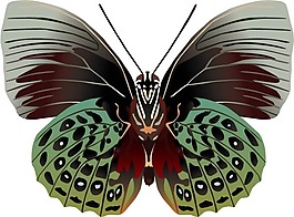 印花矢量圖 動(dòng)物 蝴蝶 色彩 五彩斑斕 免費(fèi)素材