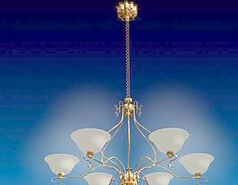chandelier 2 樹枝形的裝飾燈