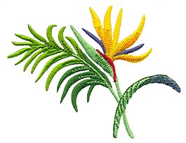 繡花 植物 草 色彩 綠色 免費素材