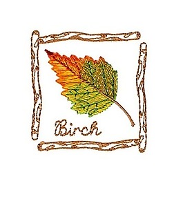 繡花 植物 樹(shù)葉 色彩 免費(fèi)素材