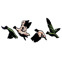 繡花 動物 鳥類 大雁 色彩 免費素材