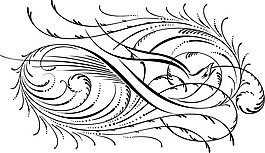 印花矢量圖 免費(fèi)素材