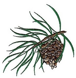 绣花 植物 树 花纹 藤条 免费素材