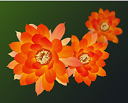 印花矢量圖 插畫 植物 花卉 藝術(shù)效果 免費(fèi)素材