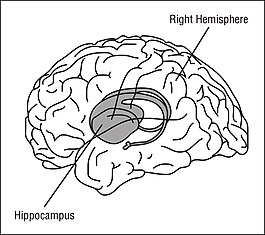 58294main_the.brain.in.space-page-96-brain