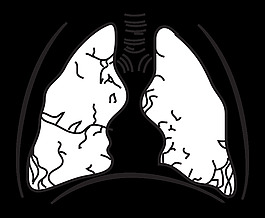 58294main_the.brain.in.space-page-157-lungs