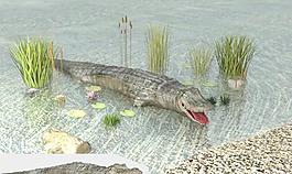 crocodile 鱷魚高精模型，超大貼圖