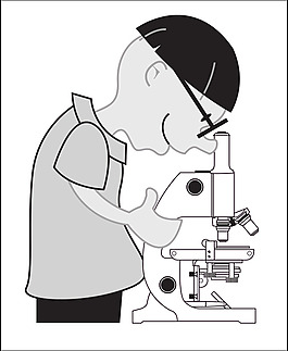 58294main_the.brain.in.space-page-58-kid-microscope
