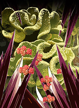 位圖 植物插畫 優(yōu)雅植物 色彩 紅色 免費素材