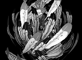 位圖 插畫 羽毛 色彩 黑白色 免費(fèi)素材