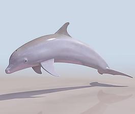 DELFIN 海豚 高模