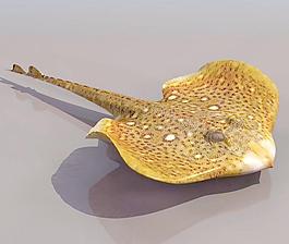 DEVILFIS 虹魚 高模