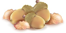 秋天的矢量元素