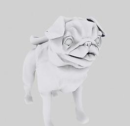 哈巴狗dog
