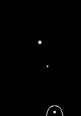 ——microscopio Architetto