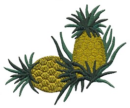 繡花 植物 水果 色彩 橙色 免費(fèi)素材