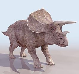 TRICERA 恐龙模型01