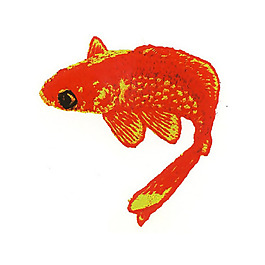 繡花 動(dòng)物 魚 色彩 紅色 免費(fèi)素材