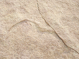 erosion_texture