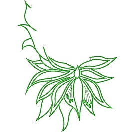 繡花 植物 草 花 花紋 免費素材