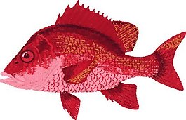 繡花 動物 魚 鯉魚 色彩 免費素材