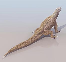 KOMODO 鱷魚模型01
