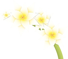 白菊花枝向量