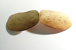 吊牌 商標(biāo) 免費(fèi)素材