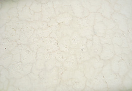 old_concrete_wall