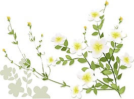 印花矢量圖 優(yōu)雅植物 花 毛衫印花 優(yōu)雅植物 免費素材