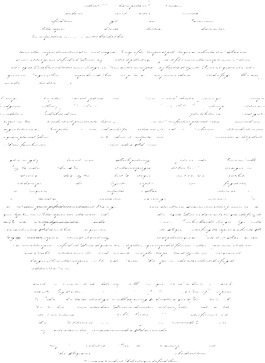 向量的T恤設(shè)計與糖頭骨
