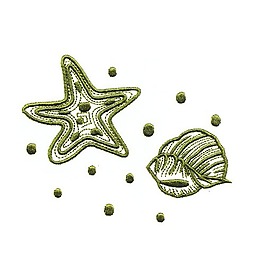 繡花 動(dòng)物 海螺 貝殼動(dòng)物 色彩 免費(fèi)素材