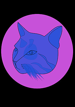 蓝色的猫