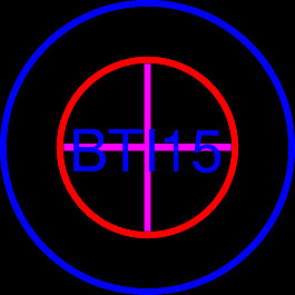 RSA bti15終端