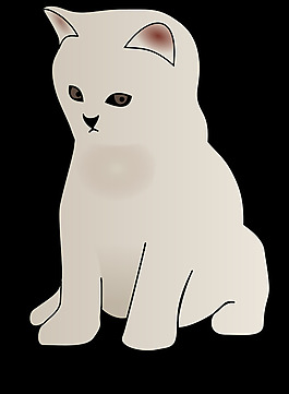 小貓