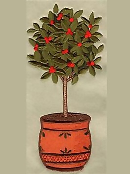 绣花 植物 树 色彩 绿色 免费素材