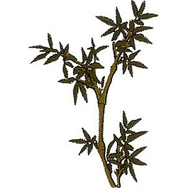 繡花 植物 竹子 色彩 綠色 免費(fèi)素材