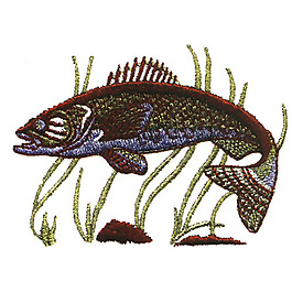 繡花 動(dòng)物 魚 色彩 綠色 免費(fèi)素材