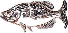 繡花 動(dòng)物 魚(yú) 色彩 吉祥 免費(fèi)素材