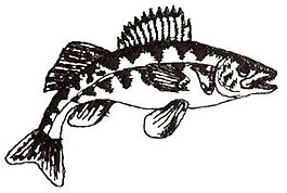 繡花 動物 魚 色彩 吉祥 免費素材