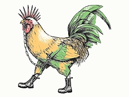 位圖 插畫 動物 雞 色彩 免費素材