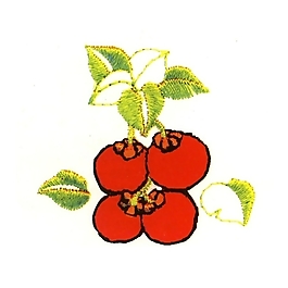 繡花 植物 蔬菜 水果 色彩 免費(fèi)素材
