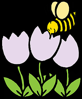 蜜蜂和花
