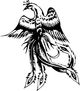 印花矢量圖 動物 火鳳凰 色彩 黑白色 免費素材