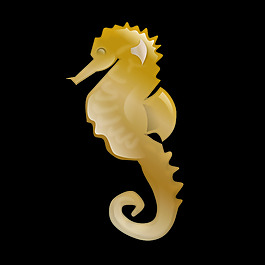 海馬