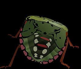 punaisa