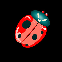 coccinellona Architetto——03