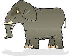 印花矢量圖 動物 色彩 白色 黑色 免費素材