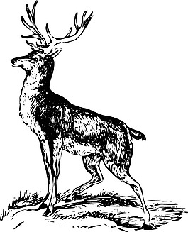 印花矢量圖 動物 鹿 色彩 黑白色 免費素材